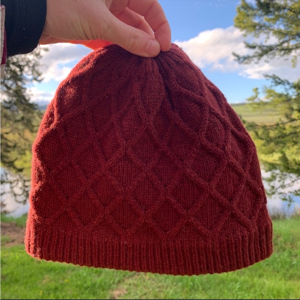 NWT Patagonia Women's Honeycomb Knit Beanie